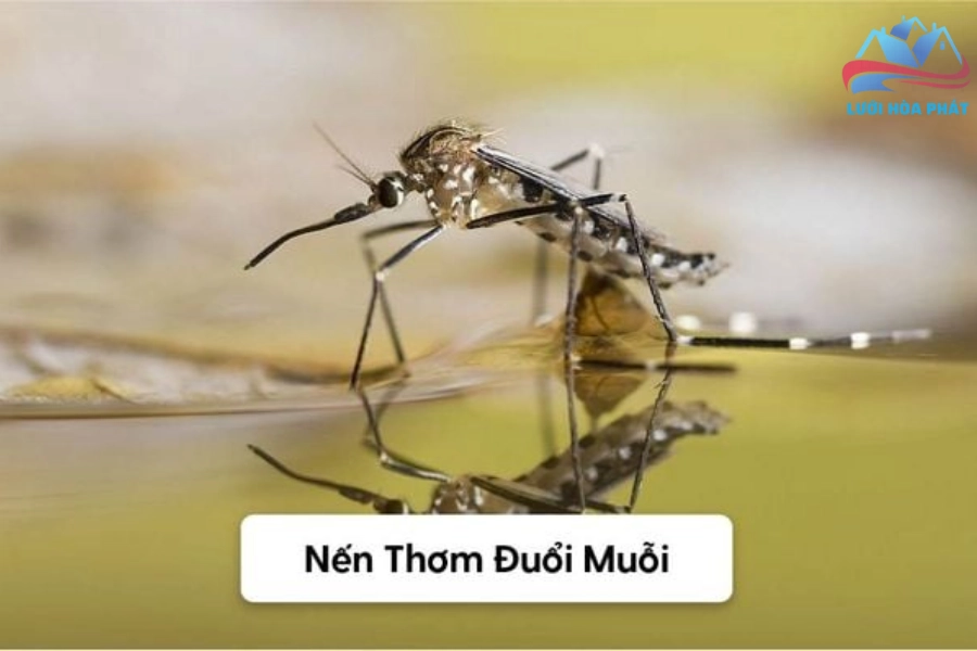 Đuổi Muỗi Bằng Nến Thơm: Giải Pháp Đơn Giản Hiệu Quả Giúp Bảo Vệ Không Gian Sống Của Bạn 