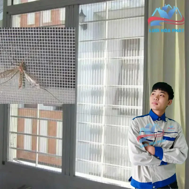 Cửa lưới chống muỗi Hòa Phát - Giải pháp bảo vệ toàn diện và bền vững