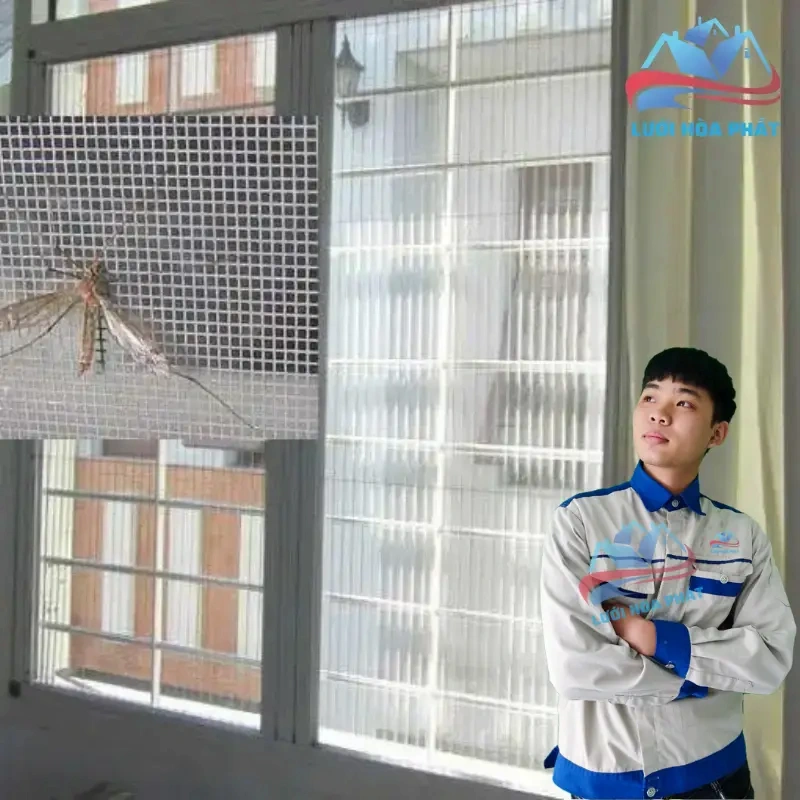 Cửa lưới chống muỗi là giải pháp thay thế bền vững và khoa học hơn