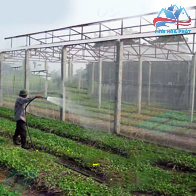 Cửa lưới chống muỗi giá rẻ GR 05